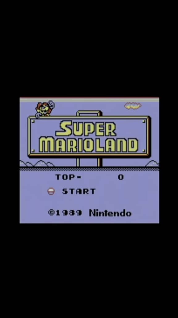 中古ショップのジャンクコーナーで見つけたラベルのないゲームボーイソフトを起動してみた