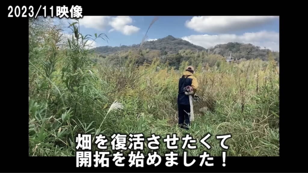 2023年11月に草刈りから着手