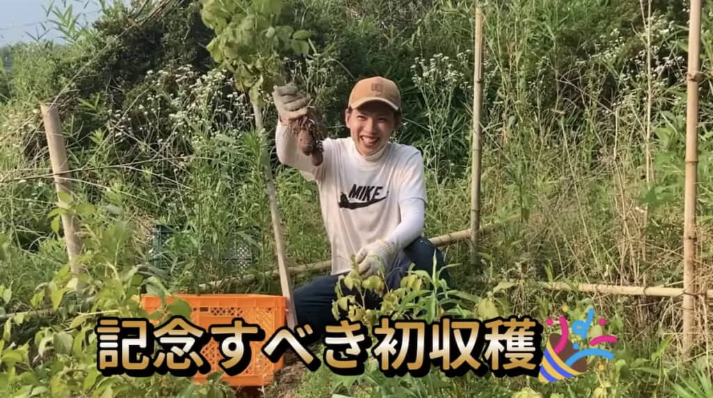 初収穫にテンションが上がる