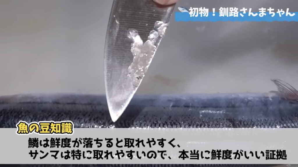 ウロコを包丁でこそぎ取ると……