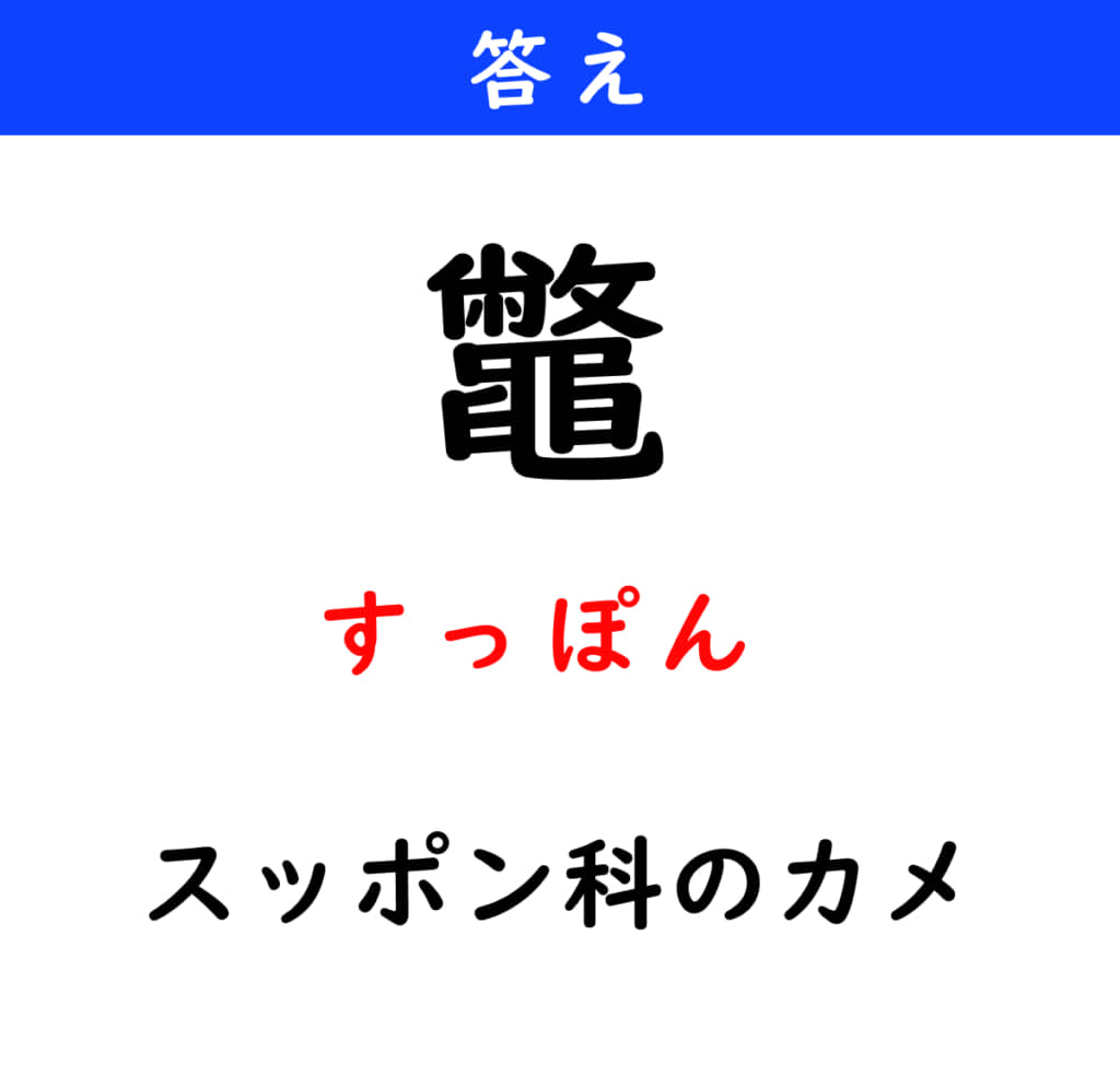 すっぽん