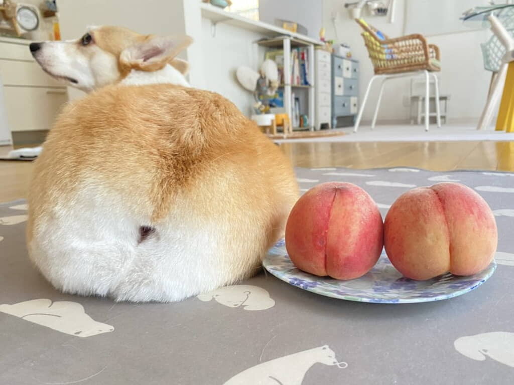 大きな桃が並んでます