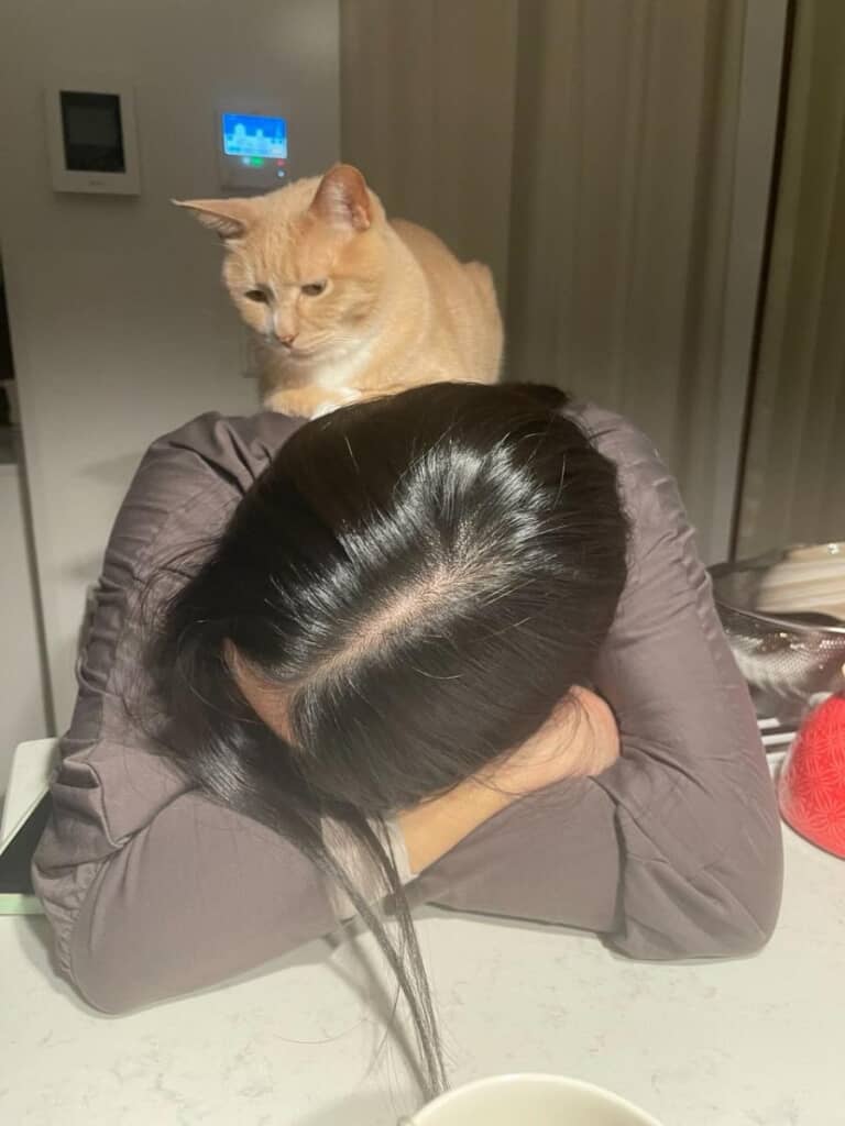 Miyuさんを心配する猫ちゃん