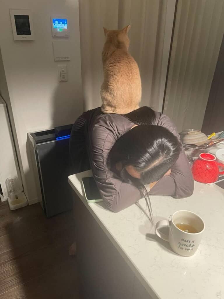 心配してる……？