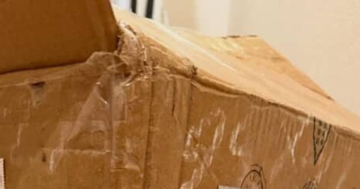 ネットで買い物→数日後……　中国から届いた“荷物”に衝撃「こわいこわいこわい」「初めて見た！」 | ライフスタイル ねとらぼ