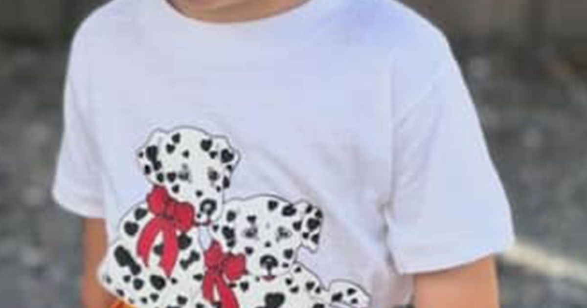 2歳娘に“全身コーデ”を自分で選ばせたら……　まさかの姿にママ驚き「パリコレ歩いてそう」「三度見しました」（1/3） | 育児 ねとらぼ