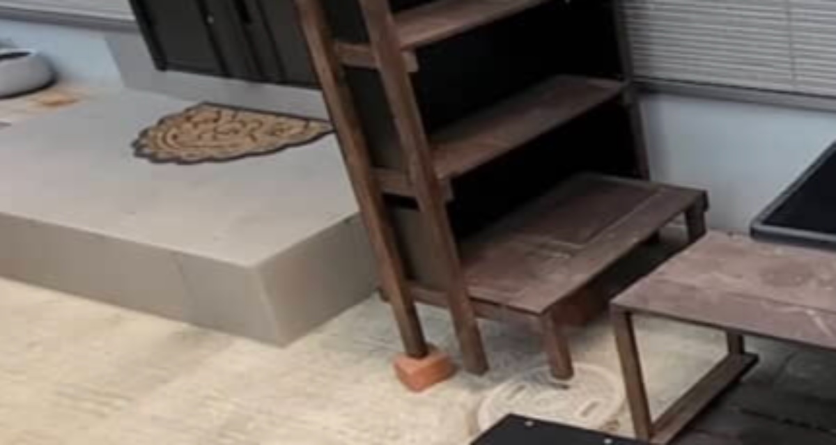 40代男性が、自宅玄関横にメダカのビオトープをDIYしたら……　一蘭のような仕上がりに「めちゃくちゃ贅沢」「最高」（1/3） | その他生き物 ねとらぼ