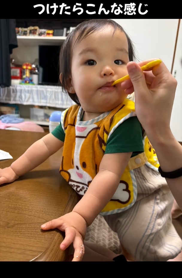 つみつみワンワンスタイ