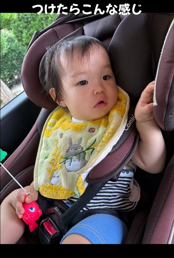 「となりのトトロ」柄のスタイ