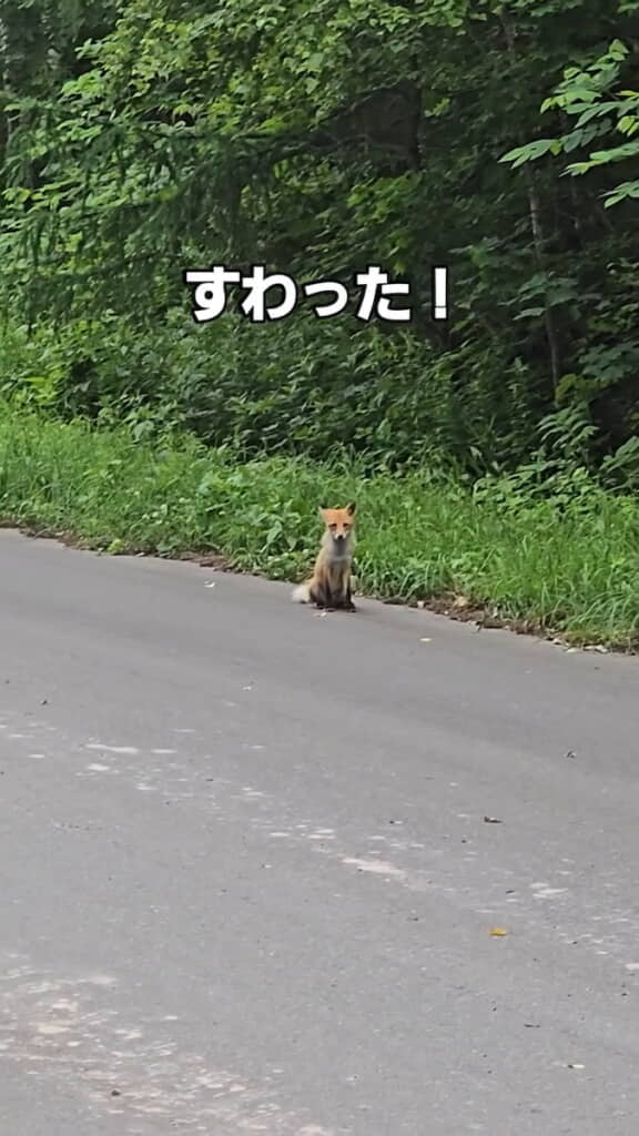 ちょこんと座った！