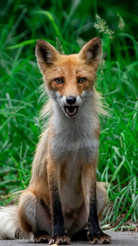 何か話してる……？