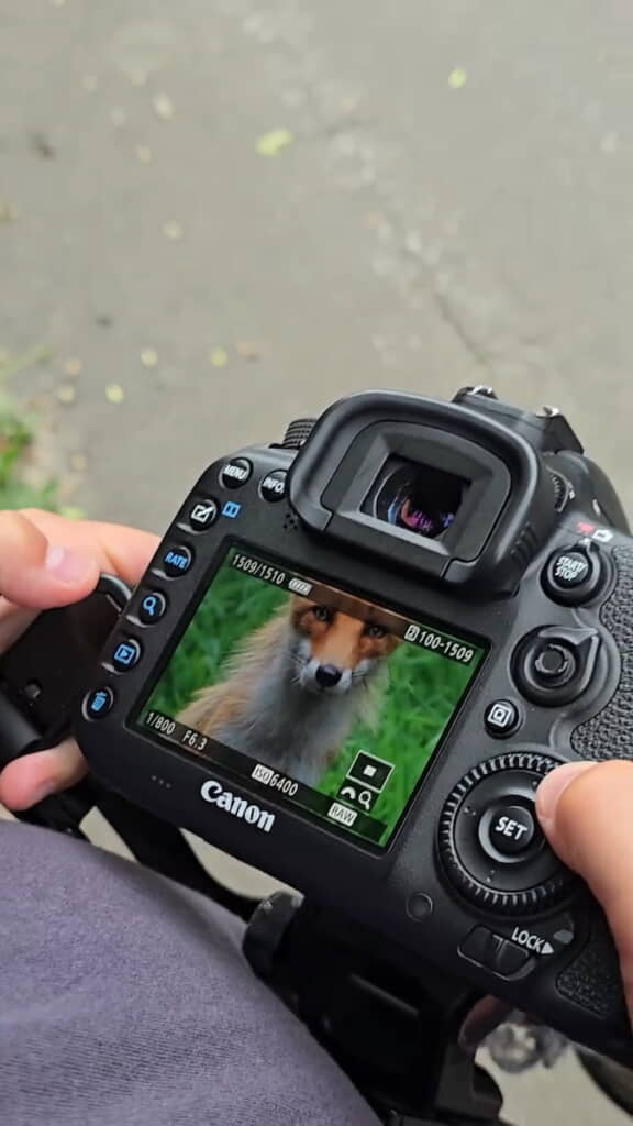 撮った写真をその場で確認