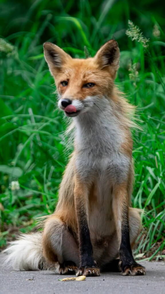 ニヒルな流し目も