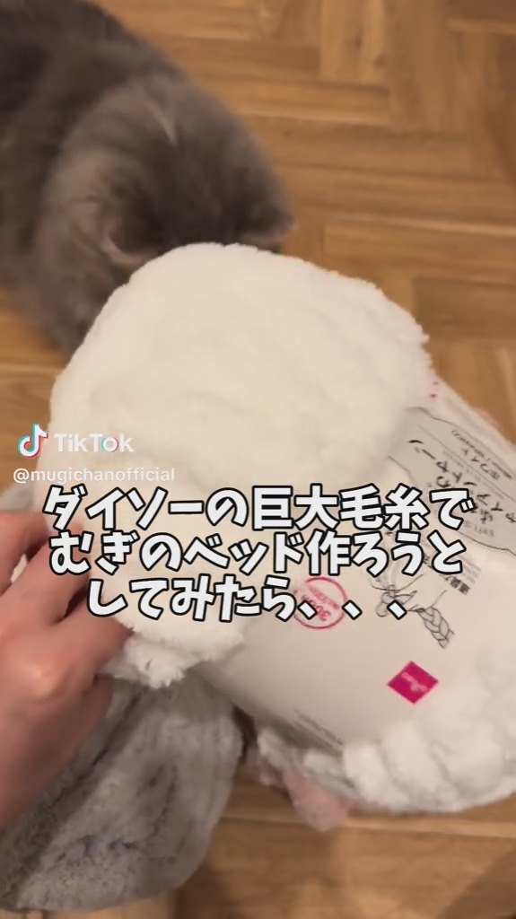 ふわふわの巨大毛糸