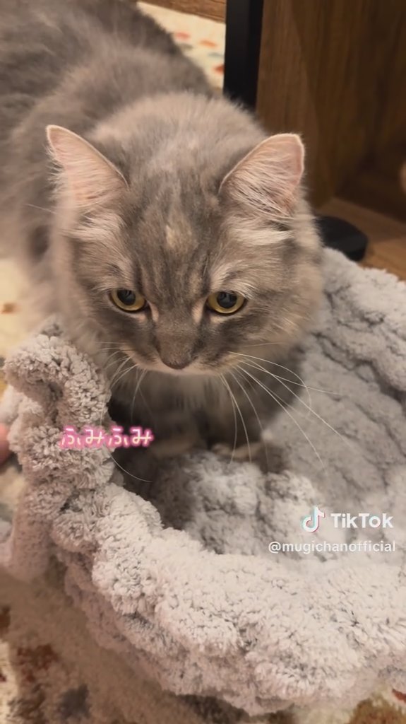 むぎちゃんも待ち遠しい様子