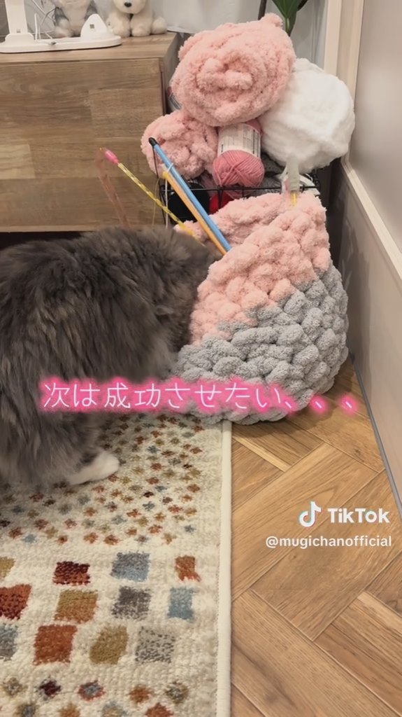 これはこれですてき