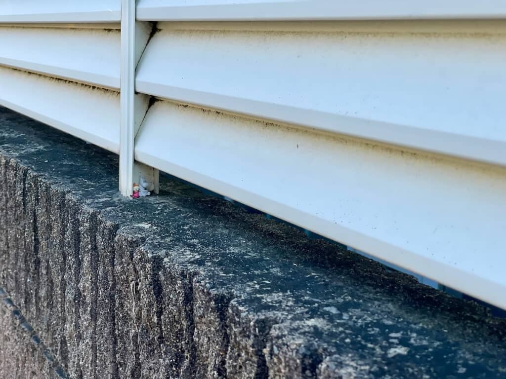 近づいてみると……