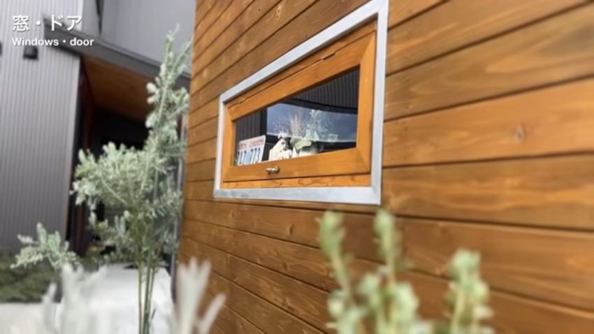 杉板張りの壁に設けた突き出し窓