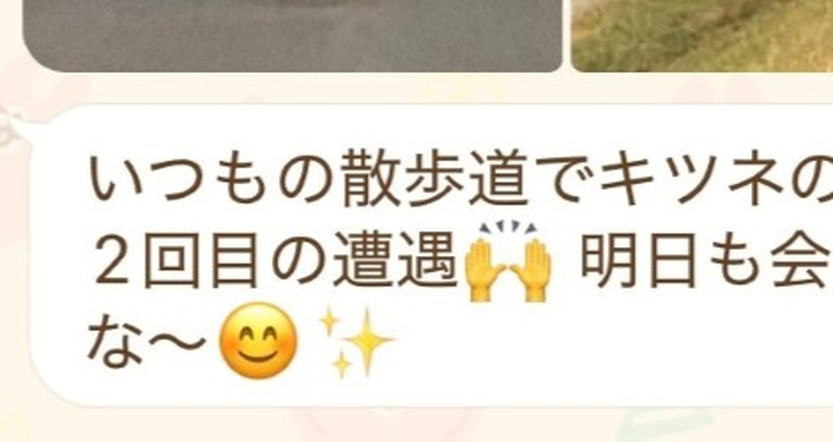 父から「キツネ見た」とLINE→衝撃の“写り込み”に物議「どう見ても」「月刊ムーが取り上げるやつ」と455万表示（1/3） | ライフスタイル ねとらぼ