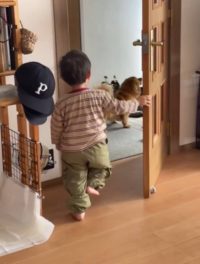 息子とおばあちゃんの再会