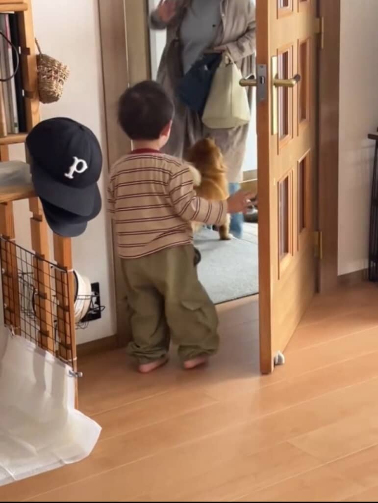 息子とおばあちゃんの再会