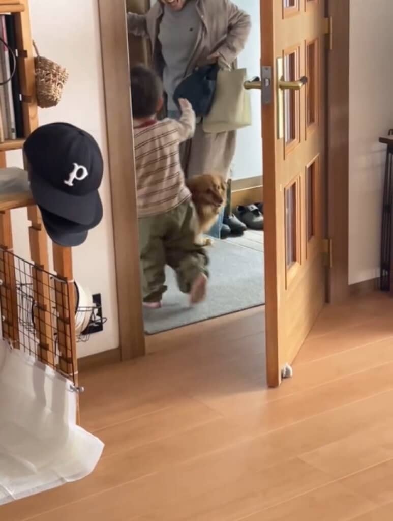 息子とおばあちゃんの再会