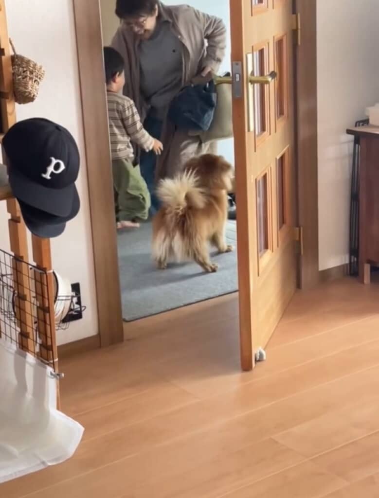 息子とおばあちゃんの再会