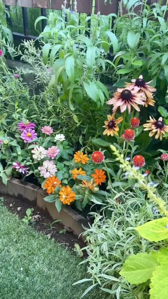 完成した花だん