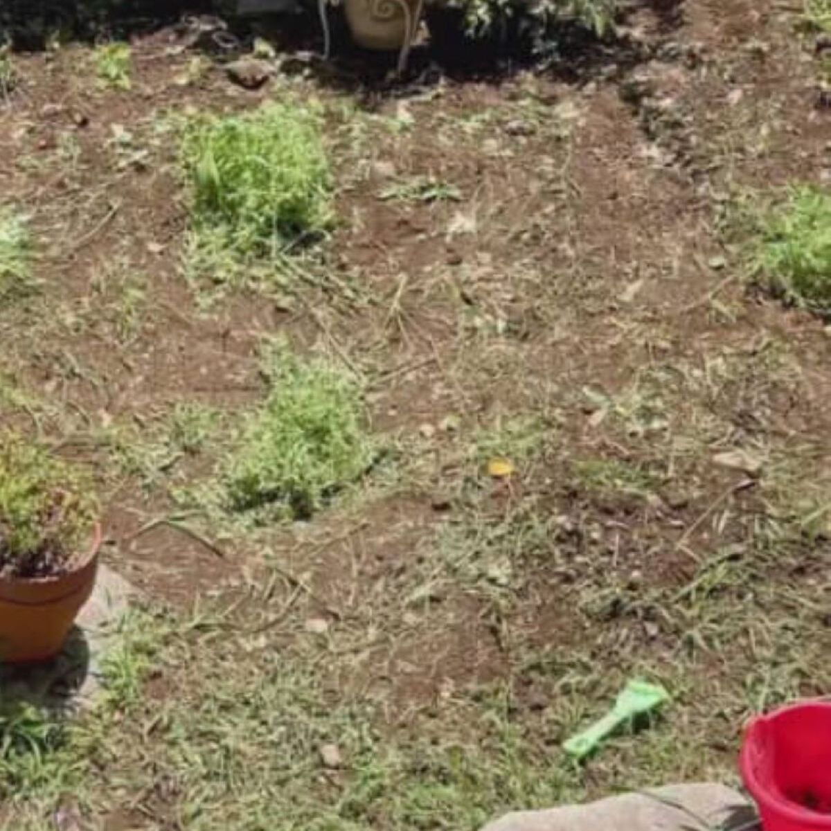 ずっと放置していた庭→素人主婦がDIYしたら……　「賃貸なのにすごっ！」見違える光景に「羨ましい」「真似してみます」 | リフォーム・リノベーション・DIY ねとらぼ