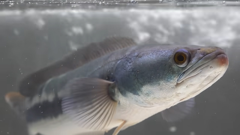 今後の成長も楽しみですね