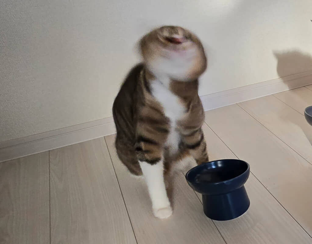 すごい勢いで回転してる!?