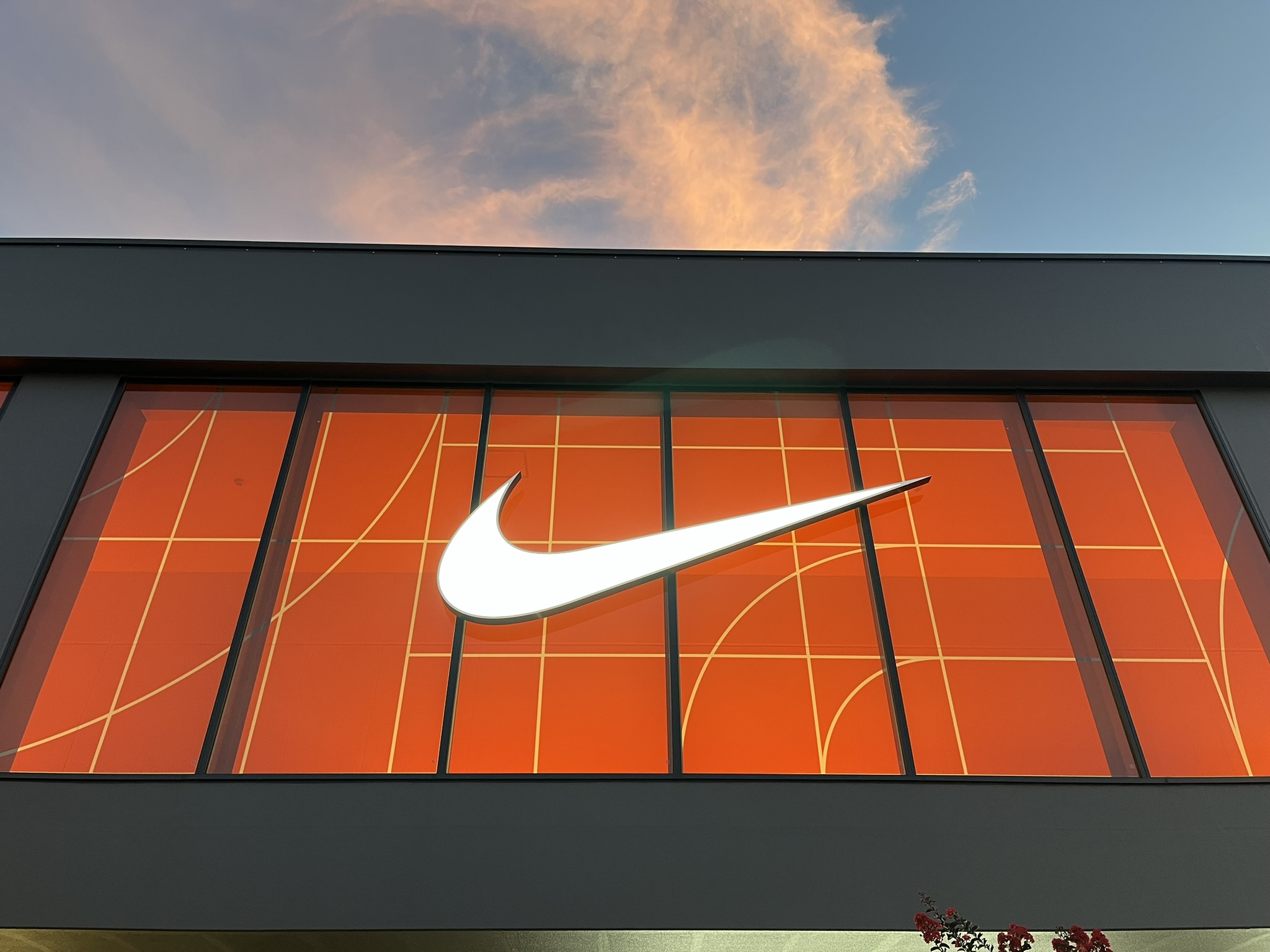 ディズニーで1日履いても痛くならない」 ナイキ（NIKE）の