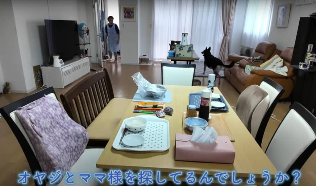 飼い主2人を探す維桜さん