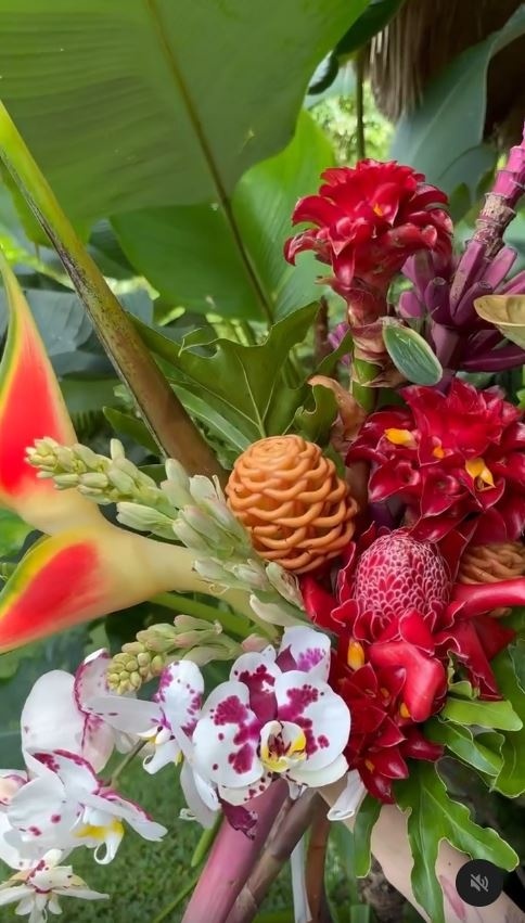 珍しい花や植物