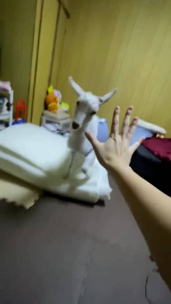 手を出すと……