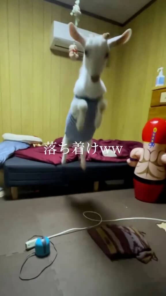 2時間出掛けてただけなのに