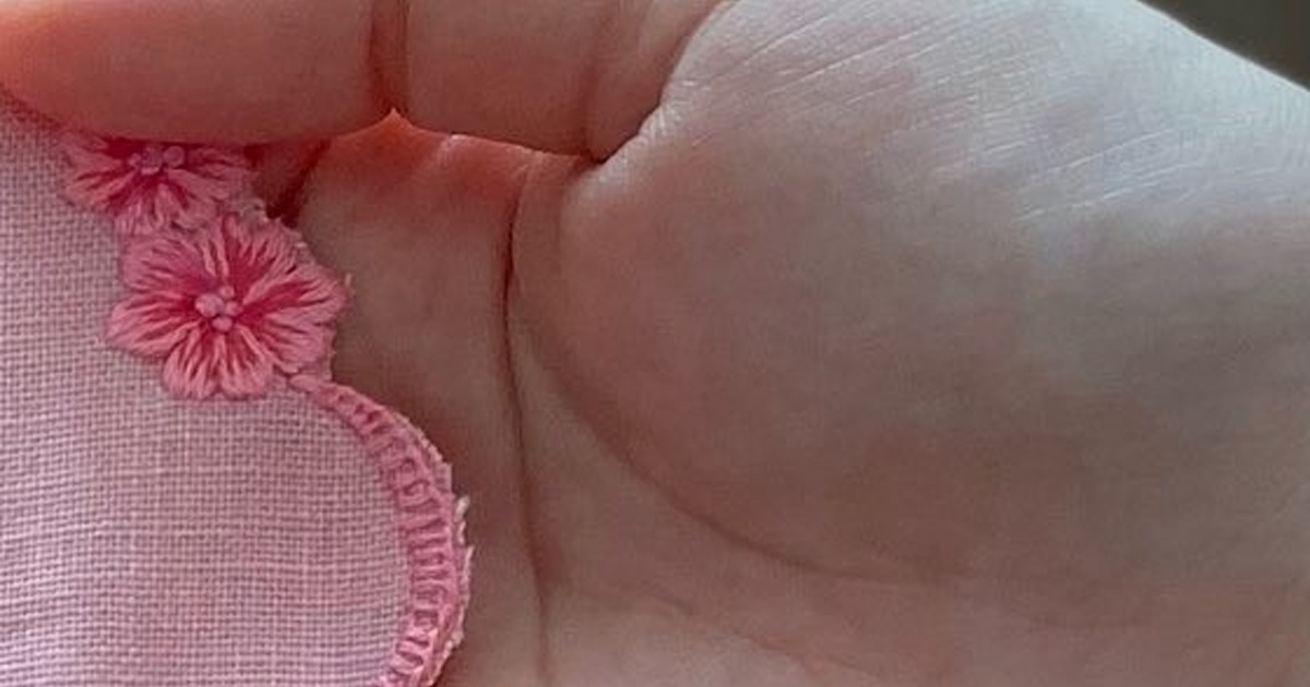 ピンクの布に2カ月かけて刺しゅうし、完成したのはまさかの……「すげぇー！！」　目を疑う作品に「えっ可愛いぃ〜」「素晴らしい！」（1/3） | ライフスタイル ねとらぼ