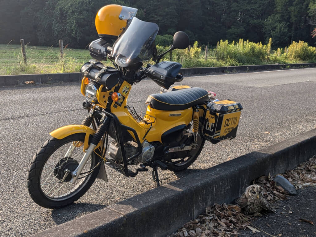 フクロウを見守るチビカブさんの愛車