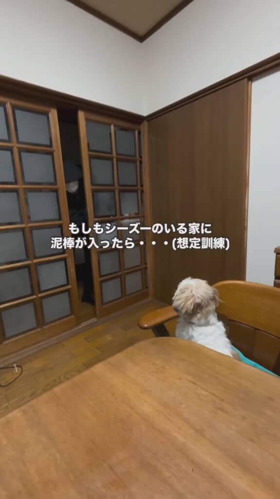 ハナちゃんは番犬になれるのか？