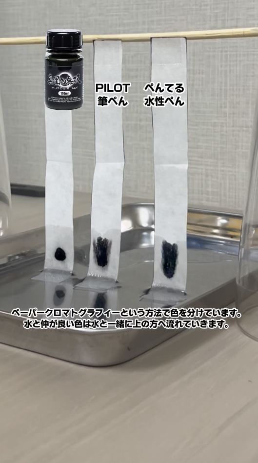 水と一緒に上に流れていくと……？