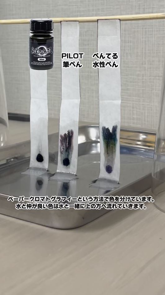 黒だけじゃない!?