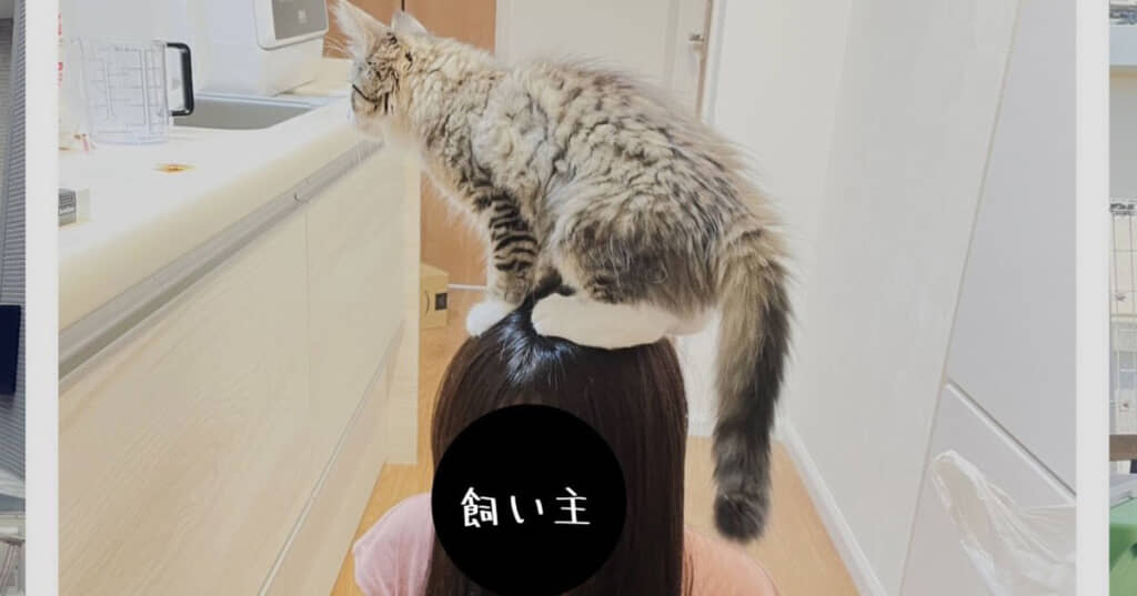 ほほえましい1枚