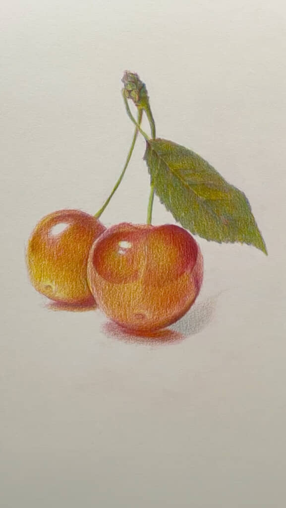 色鉛筆画 色鉛筆でキツネを描きました。I drew a fox with colored