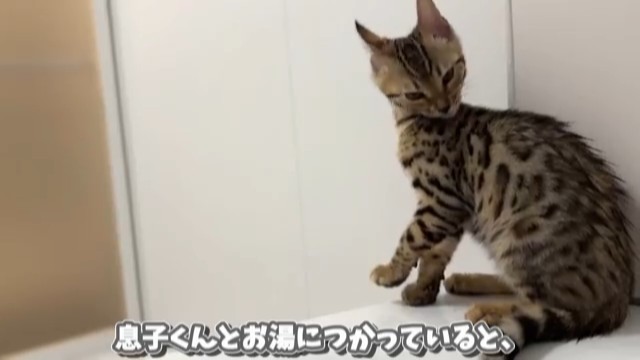 浴槽のヘリにも登っちゃいます