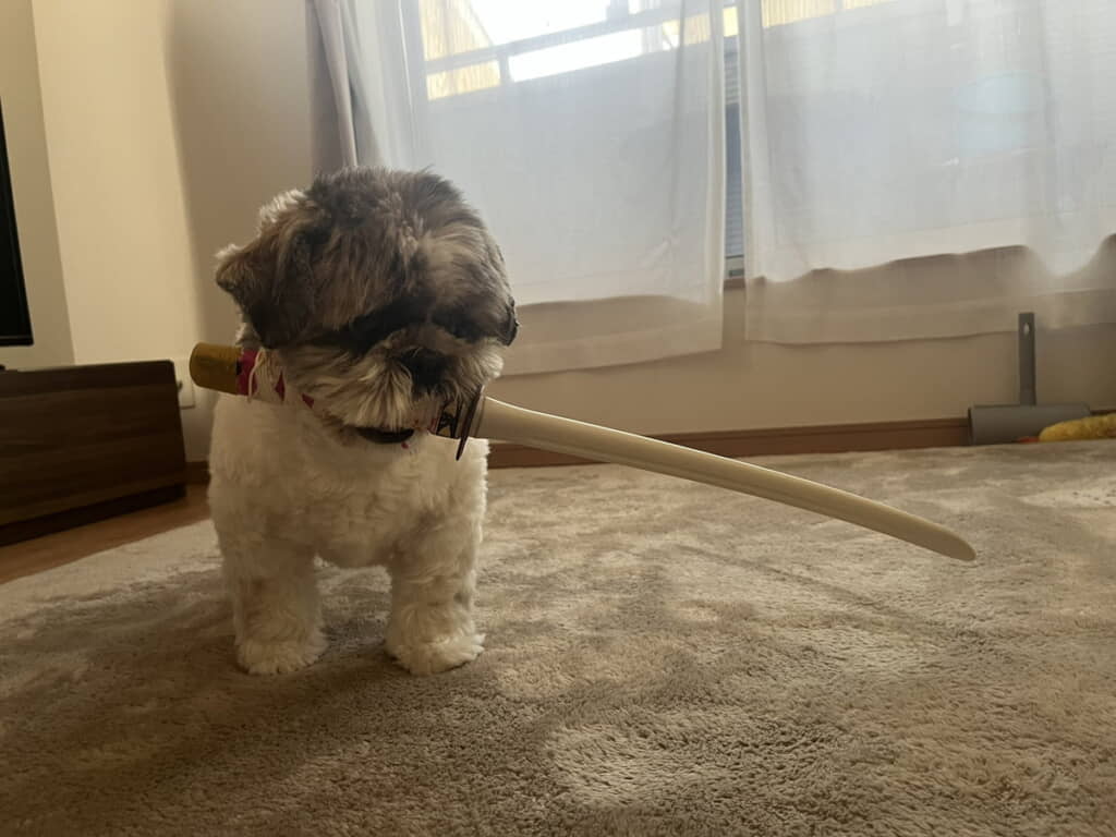 「お散歩には持って行けないの」
