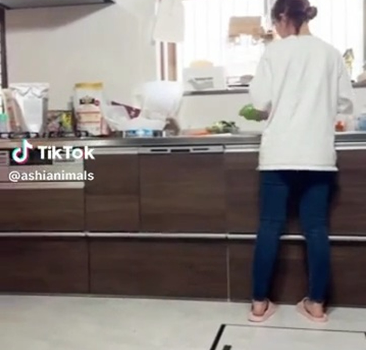 朝ごはんを準備中の飼い主に、誰も予想できない生き物が忍び寄り……「やべぇ腹痛いｗｗ」　信じられない光景に「予想以上だった」（1/3） | その他生き物 ねとらぼ