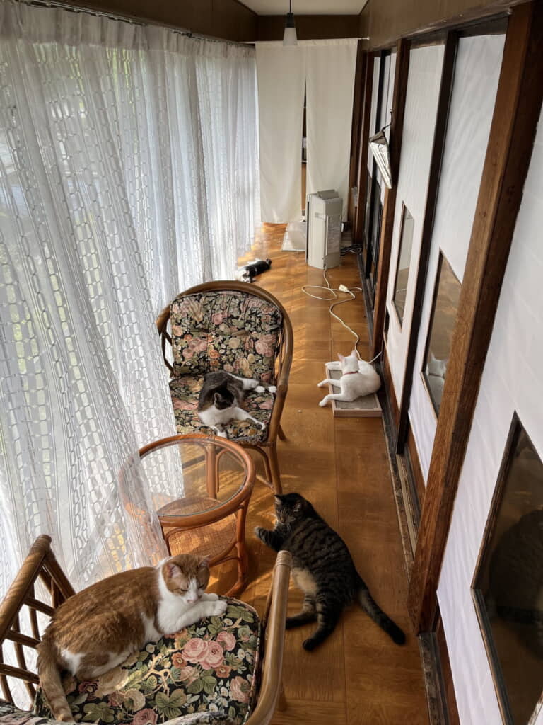 夏の縁側に点々と……