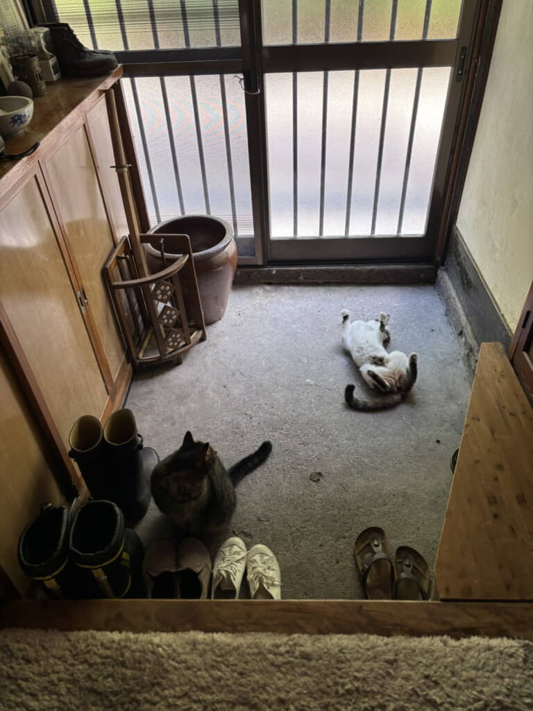 たたきがひんやり