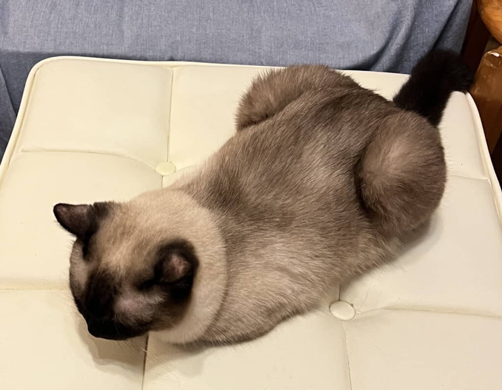 ちょっと焦げたなみちゃん