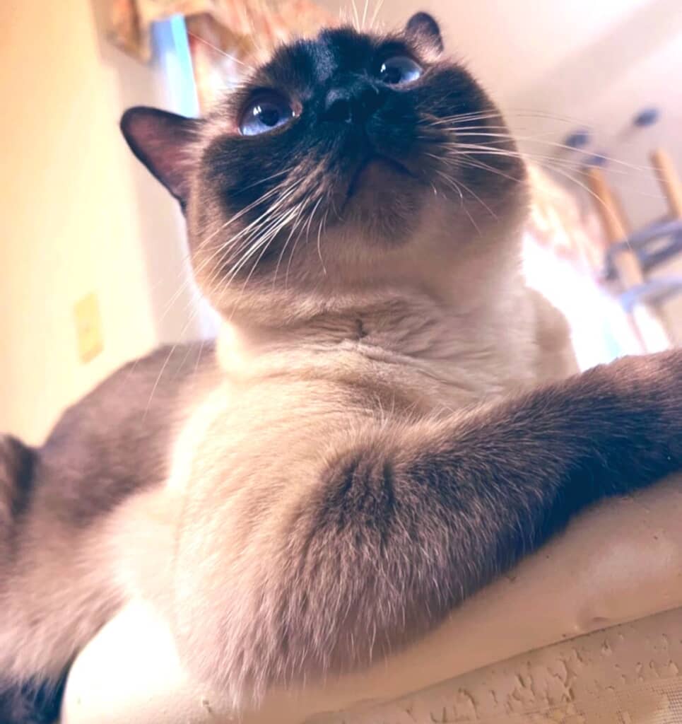 下からのアングルもすてき